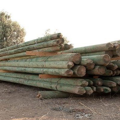 Wooden Poles for Electrical & Communication Network