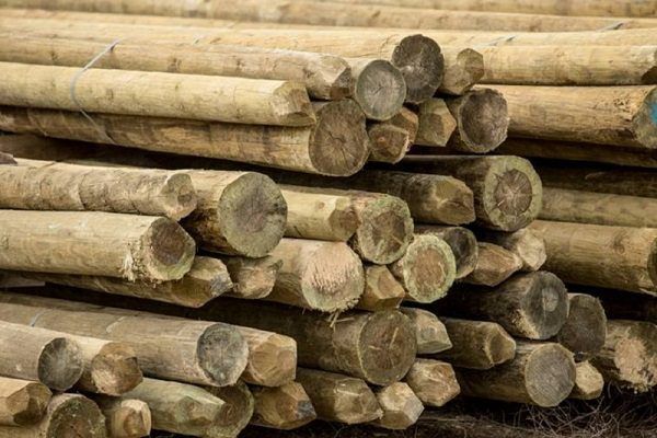 wooden pole